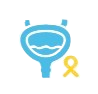 Bladder Cancer
