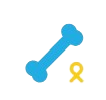 Bone Cancer