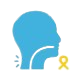 Head & Neck Cancer
