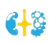 Kidney Cancer