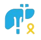 Liver Cancer